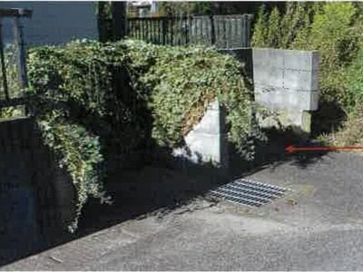 千葉県東金市 求名駅 戸建て 307万円の競売物件情報 #4