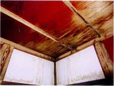 千葉県鴨川市 江見駅7分 戸建て 238万円の競売物件情報 #8