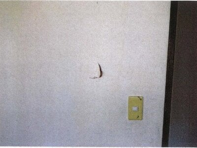 愛知県一宮市 布袋駅 戸建て 527万円の競売物件情報 #9