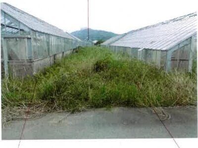 (値下げ) 愛知県田原市 農地 30万円の競売物件情報 #11