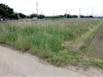 (値下げ) 愛知県田原市 農地 30万円の競売物件情報 #13