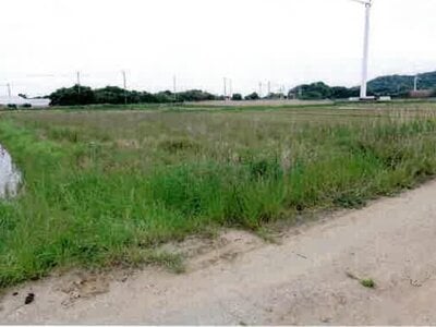 (値下げ) 愛知県田原市 農地 30万円の競売物件情報 #14