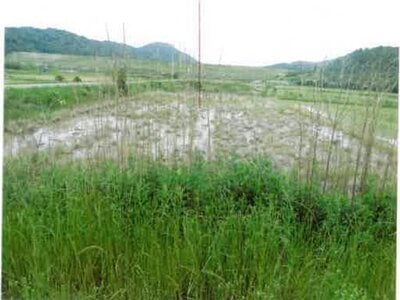 (値下げ) 愛知県田原市 農地 30万円の競売物件情報 #5