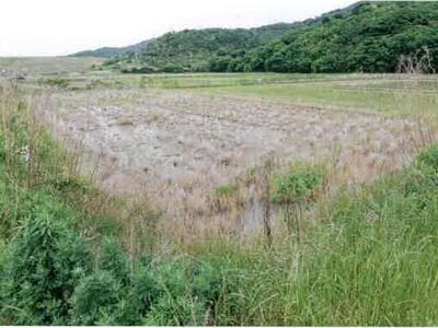 (値下げ) 愛知県田原市 農地 31万円の競売物件情報 #13