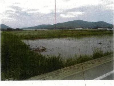 (値下げ) 愛知県田原市 農地 31万円の競売物件情報 #3