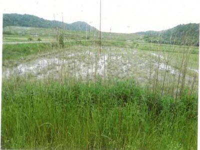 (値下げ) 愛知県田原市 農地 31万円の競売物件情報 #5