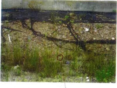 (値下げ) 愛知県田原市 農地 61万円の競売物件情報 #10