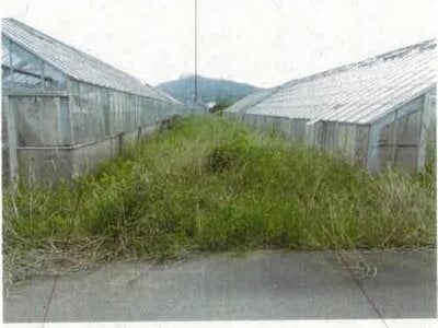 (値下げ) 愛知県田原市 農地 61万円の競売物件情報 #11