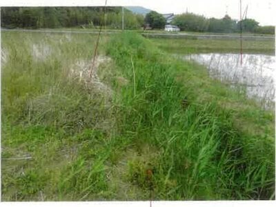 (値下げ) 愛知県田原市 農地 61万円の競売物件情報 #4