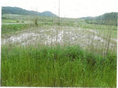 (値下げ) 愛知県田原市 農地 61万円の競売物件情報 #5