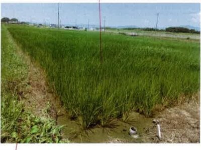 愛知県豊橋市 豊川駅 農地 97万円の競売物件情報 #2