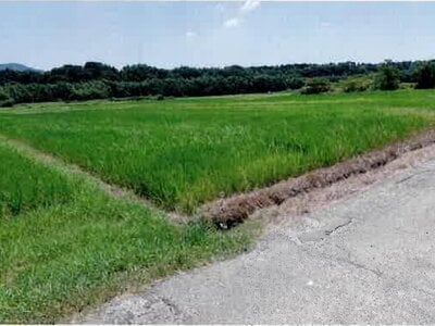 愛知県豊橋市 豊川駅 農地 97万円の競売物件情報 #4