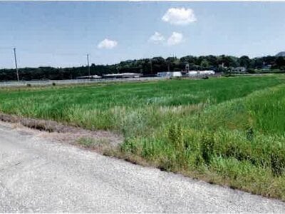 愛知県豊橋市 豊川駅 農地 97万円の競売物件情報 #5