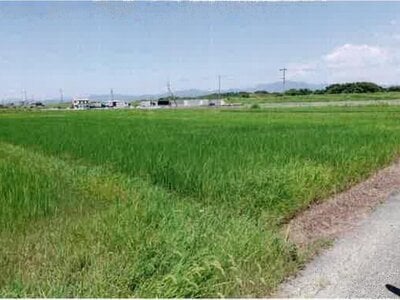 愛知県豊橋市 豊川駅 農地 97万円の競売物件情報 #4