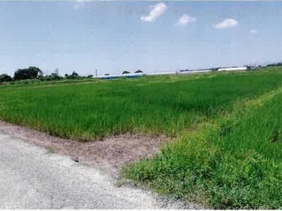 愛知県豊橋市 豊川駅 農地 97万円の競売物件情報 #5