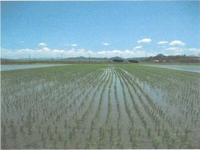 (値下げ) 滋賀県守山市 野洲駅 農地 115万円の競売物件情報 #2