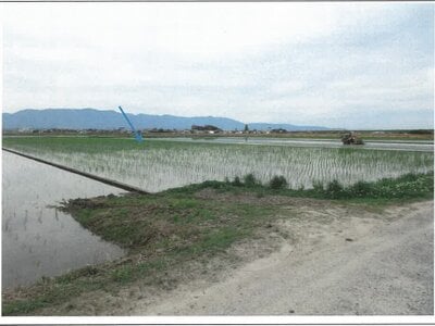 (値下げ) 滋賀県守山市 野洲駅 農地 115万円の競売物件情報 #4