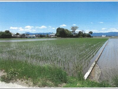 (値下げ) 滋賀県守山市 野洲駅 農地 115万円の競売物件情報 #5