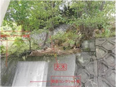 兵庫県西宮市 甲陽園駅27分 戸建て 2,525万円の競売物件情報 #10