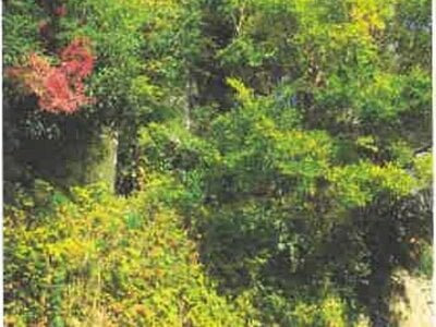 兵庫県宝塚市 川西能勢口駅7分 マンション 73万円の競売物件情報 #12