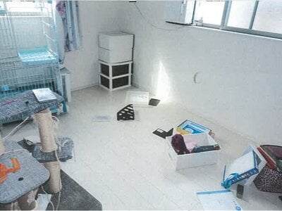 兵庫県小野市 小野駅4分 戸建て 864万円の競売物件情報 #9