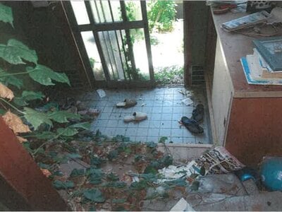 兵庫県相生市 相生駅27分 戸建て 32万円の競売物件情報 #5