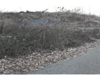 兵庫県加古川市 神野駅 農地 78万円の競売物件情報 #6