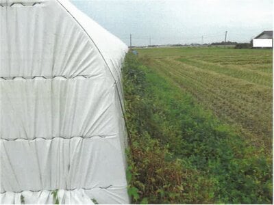 佐賀県杵島郡白石町 肥前白石駅16分 戸建て 1,007万円の競売物件情報 #11