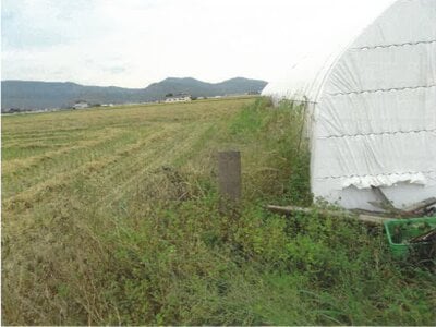 佐賀県杵島郡白石町 肥前白石駅16分 戸建て 1,007万円の競売物件情報 #9