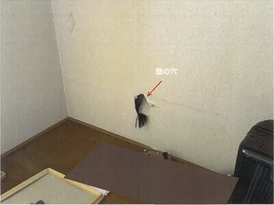 佐賀県唐津市 和多田駅11分 戸建て 606万円の競売物件情報 #6