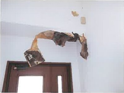 熊本県宇城市 小川駅 戸建て 2,076万円の競売物件情報 #18