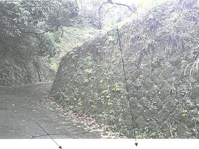 (値下げ) 鹿児島県鹿児島市 市役所前駅12分 土地 548万円の競売物件情報 #2