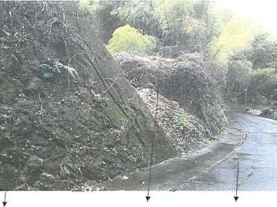 (値下げ) 鹿児島県鹿児島市 市役所前駅12分 土地 548万円の競売物件情報 #3