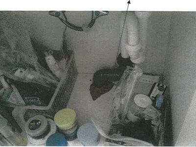 鹿児島県鹿児島市 宇宿駅 戸建て 7,172万円の競売物件情報 #10