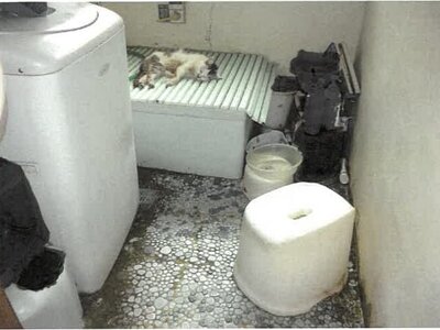 (値下げ) 鹿児島県鹿児島市 水族館口駅 戸建て 474万円の競売物件情報 #13