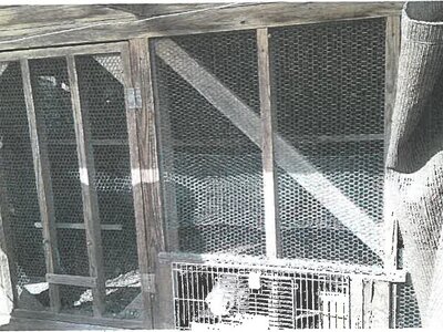 鹿児島県霧島市 国分駅 戸建て 1,135万円の競売物件情報 #21