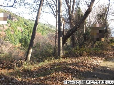 静岡県賀茂郡東伊豆町 片瀬白田駅 土地 17万円の国税庁公売物件情報 #2