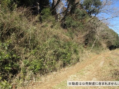 千葉県富里市 公津の杜駅 土地 21万円の国税庁公売物件情報 #2