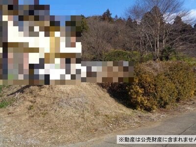 千葉県山武市 日向駅 土地 110万円の国税庁公売物件情報 #2