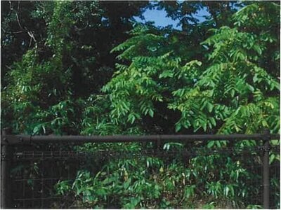 岩手県紫波郡紫波町 紫波中央駅11分 土地 1,662万円の競売物件情報 #3