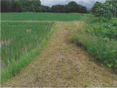 (値下げ) 岩手県紫波郡紫波町 紫波中央駅19分 戸建て 222万円の競売物件情報 #4