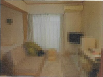 東京都江東区 越中島駅3分 戸建て 8,160万円の競売物件情報 #2