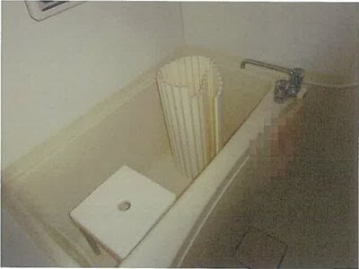 東京都江東区 越中島駅3分 戸建て 8,160万円の競売物件情報 #3