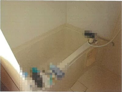 東京都江東区 越中島駅3分 戸建て 8,160万円の競売物件情報 #4