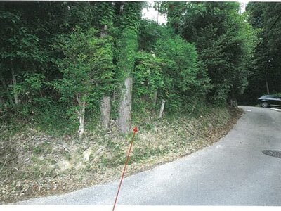 (値下げ) 岐阜県多治見市 古虎渓駅 戸建て 33万円の競売物件情報 #3