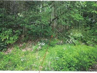 (値下げ) 岐阜県多治見市 古虎渓駅 戸建て 33万円の競売物件情報 #6