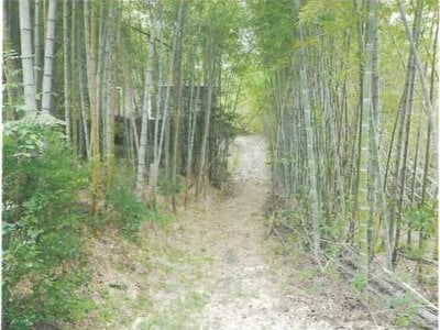 愛知県豊田市 猿投駅 戸建て 306万円の競売物件情報 #14