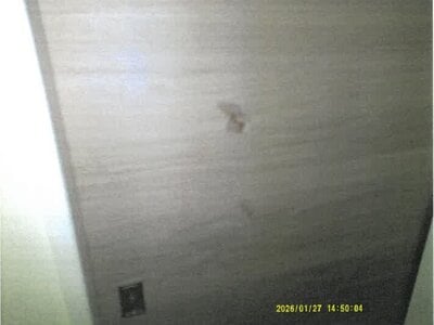 大阪府交野市 郡津駅10分 戸建て 2,139万円の競売物件情報 #12