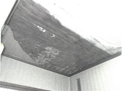 大阪府箕面市 彩都西駅19分 戸建て 324万円の競売物件情報 #12