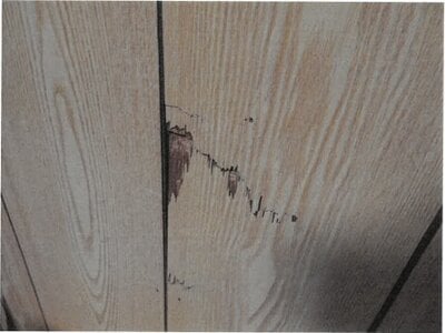 大阪府枚方市 長尾駅30分 戸建て 428万円の競売物件情報 #8